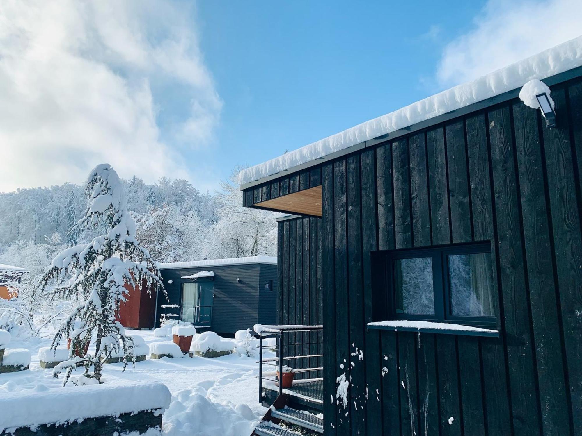 Hjem - Tiny Homes Direkt Am Wald Zwischen Allgaeu & Bodensee Bergatreute 外观 照片