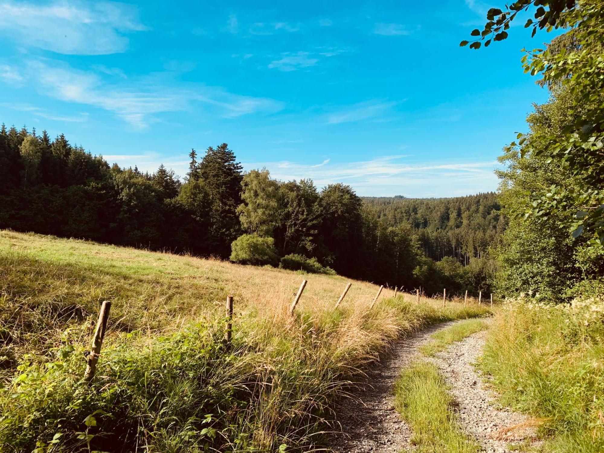 Hjem - Tiny Homes Direkt Am Wald Zwischen Allgaeu & Bodensee Bergatreute 外观 照片